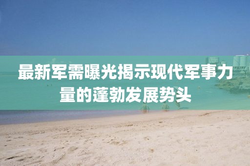 最新军需曝光揭示现代军事力量的蓬勃发展势头