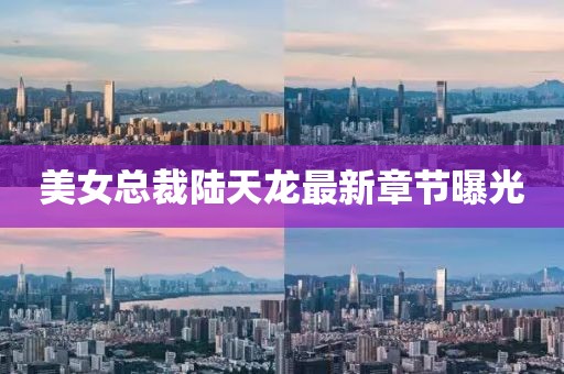 美女总裁陆天龙最新章节曝光