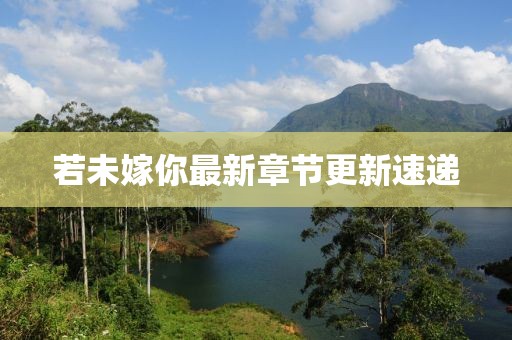 若未嫁你最新章节更新速递