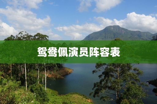 鸳鸯佩演员阵容表