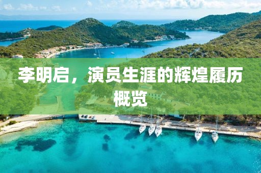 李明启，演员生涯的辉煌履历概览