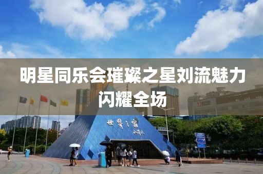 明星同乐会璀璨之星刘流魅力闪耀全场