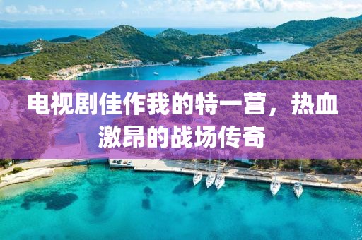 电视剧佳作我的特一营，热血激昂的战场传奇