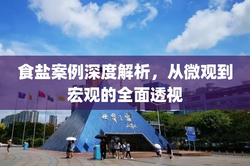 食盐案例深度解析，从微观到宏观的全面透视