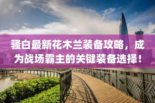 骚白最新花木兰装备攻略，成为战场霸主的关键装备选择！