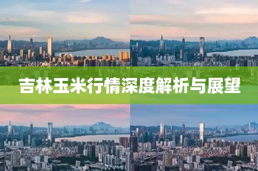 吉林玉米行情深度解析与展望