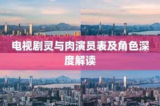 电视剧灵与肉演员表及角色深度解读