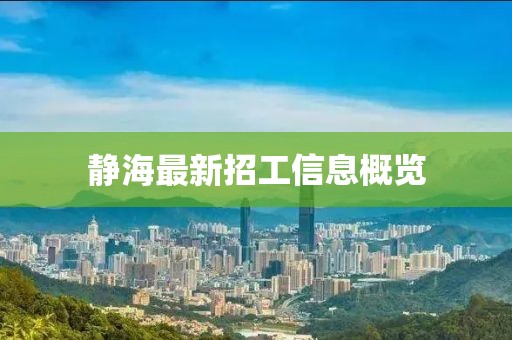 静海最新招工信息概览