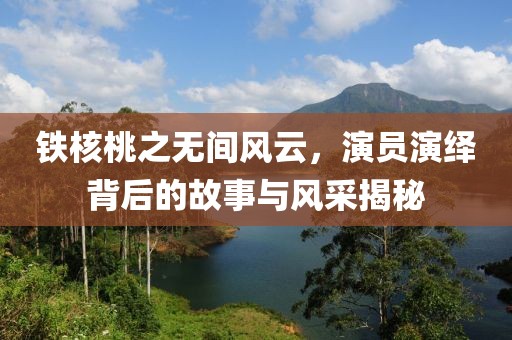 铁核桃之无间风云，演员演绎背后的故事与风采揭秘