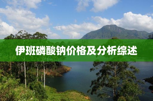 伊班磷酸钠价格及分析综述