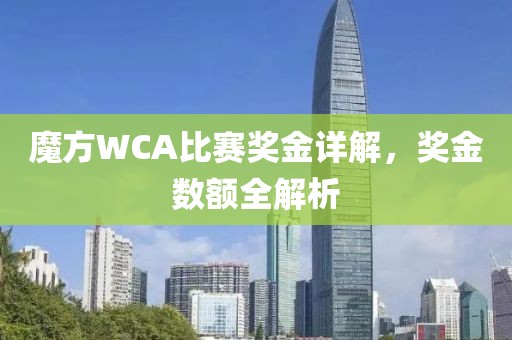 魔方WCA比赛奖金详解，奖金数额全解析