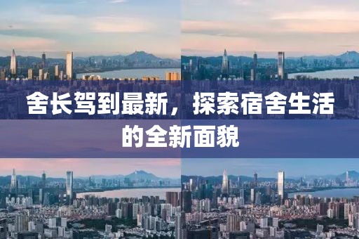 舍长驾到最新，探索宿舍生活的全新面貌