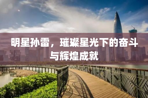 明星孙雷，璀璨星光下的奋斗与辉煌成就