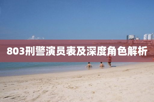 803刑警演员表及深度角色解析