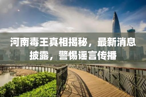 河南毒王真相揭秘，最新消息披露，警惕谣言传播