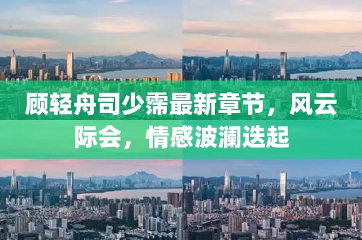 顾轻舟司少霈最新章节，风云际会，情感波澜迭起
