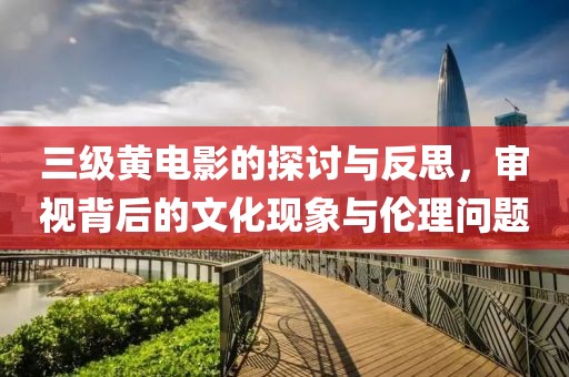 三级黄电影的探讨与反思，审视背后的文化现象与伦理问题