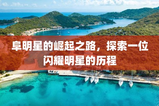 阜明星的崛起之路，探索一位闪耀明星的历程