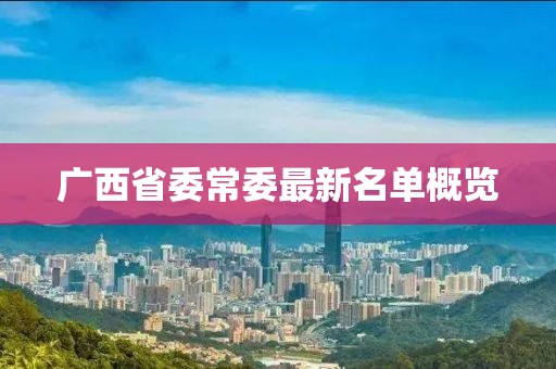 广西省委常委最新名单概览
