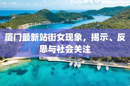 厦门最新站街女现象，揭示、反思与社会关注