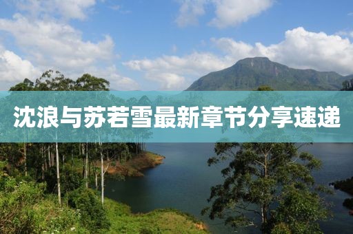 沈浪与苏若雪最新章节分享速递
