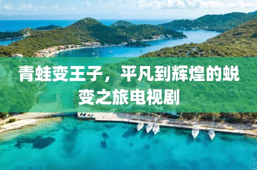 青蛙变王子，平凡到辉煌的蜕变之旅电视剧