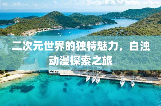 二次元世界的独特魅力，白浊动漫探索之旅