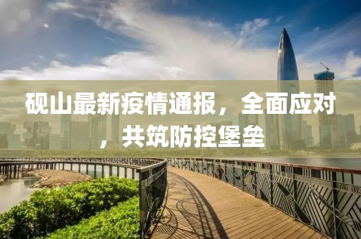砚山最新疫情通报，全面应对，共筑防控堡垒