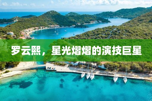罗云熙，星光熠熠的演技巨星