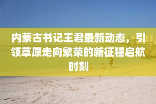 内蒙古书记王君最新动态，引领草原走向繁荣的新征程启航时刻
