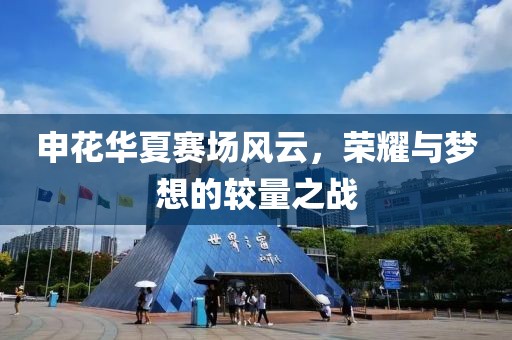 申花华夏赛场风云，荣耀与梦想的较量之战