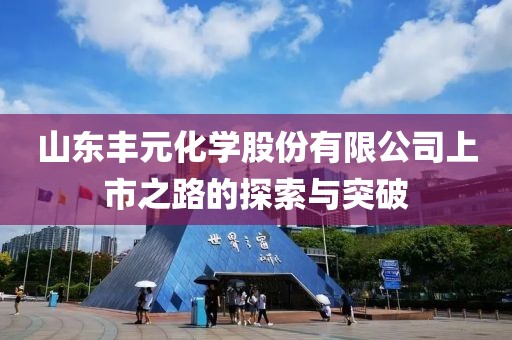 山东丰元化学股份有限公司上市之路的探索与突破