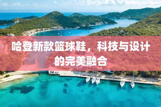 哈登新款篮球鞋，科技与设计的完美融合