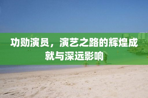 功勋演员，演艺之路的辉煌成就与深远影响