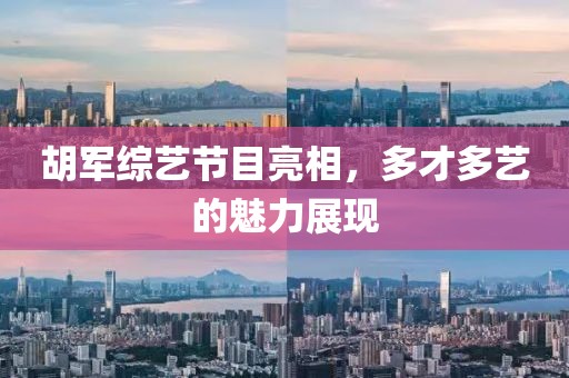 胡军综艺节目亮相，多才多艺的魅力展现