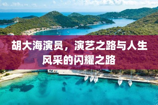 胡大海演员，演艺之路与人生风采的闪耀之路