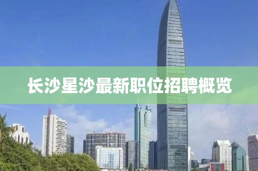 长沙星沙最新职位招聘概览