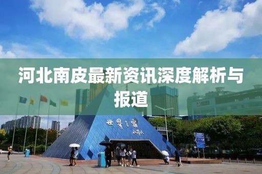 河北南皮最新资讯深度解析与报道
