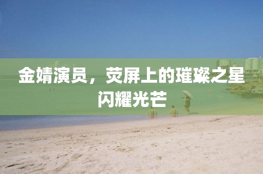 金婧演员，荧屏上的璀璨之星闪耀光芒