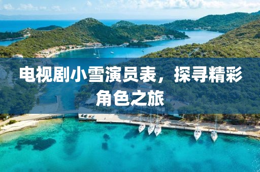 电视剧小雪演员表，探寻精彩角色之旅