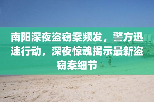 南阳深夜盗窃案频发，警方迅速行动，深夜惊魂揭示最新盗窃案细节