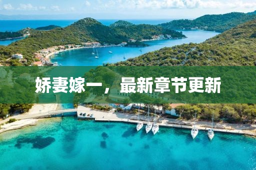 娇妻嫁一，最新章节更新