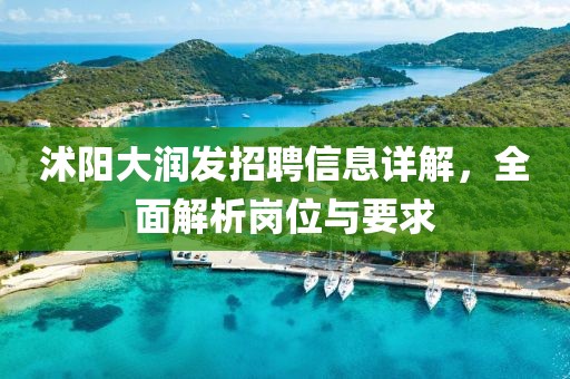 沭阳大润发招聘信息详解，全面解析岗位与要求