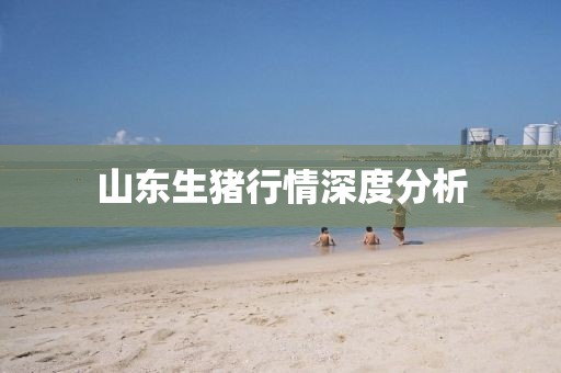 山东生猪行情深度分析