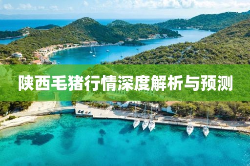 陕西毛猪行情深度解析与预测