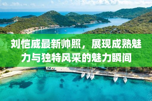 刘恺威最新帅照，展现成熟魅力与独特风采的魅力瞬间