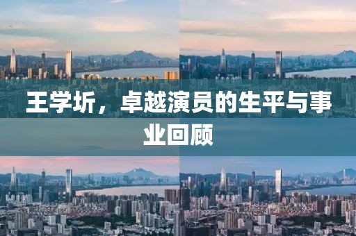 王学圻，卓越演员的生平与事业回顾