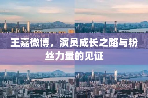 王嘉微博，演员成长之路与粉丝力量的见证