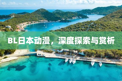 BL日本动漫，深度探索与赏析
