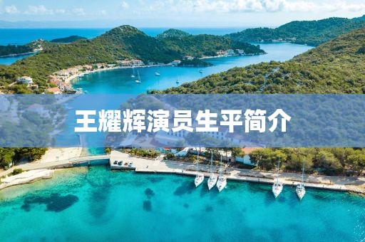 王耀辉演员生平简介